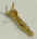 780.jpg (6914 bytes)